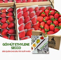 2 Chống Chín Sớm Trái Cây Bằng Gói Hút Ethylene Cho Doanh Nghiệp Xuất Xa