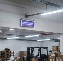 Đèn diệt côn trùng lưới điện IK204