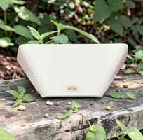 1 Đèn diệt côn trùng ZL-011 sử dụng keo dính