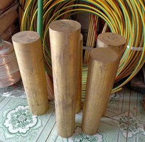 1 Đồng cây vàng   Đồng cây đỏ
