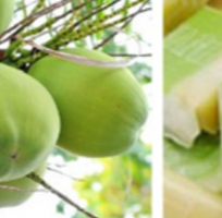 Kẹo dừa Bến Tre