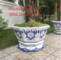 3 Chậu cảnh , chậu khảm sành thủ công , chậu size khủng , chậu xi măng