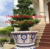 4 Chậu cảnh , chậu khảm sành thủ công , chậu size khủng , chậu xi măng