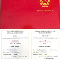 Khóa học sơ cấp nấu ăn