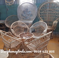 5 Ghế đơn mây đuôi công