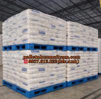 9  Thanh Lý Pallet Nhựa Cũ Nhập Khẩu Bền Đẹp   Giá Rẻ Tận Nóc  