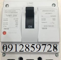 TVM1-250-3175F  Cầu dao điện Teco
