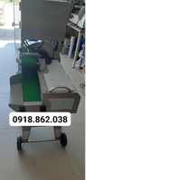 Máy cắt lát sả cây , máy bào lát sả tự động Sh125