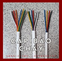 Cáp chống cháy chậm cháy chịu nhiệt tốt