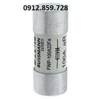 Cầu chì 100A 700V, Model FWP-100A22F