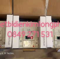 MCCB chống rò Mitsubishi NV125-SV 4P 100A