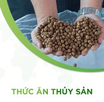 Thủ tục nhập khẩu thức ăn thủy sản