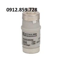 Cầu chì 50A 400V D02GG40V50