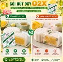 2 Các loại chống mốc phổ biến cho bánh trung thu
