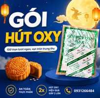 5 Các loại chống mốc phổ biến cho bánh trung thu