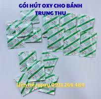6 Các loại chống mốc phổ biến cho bánh trung thu