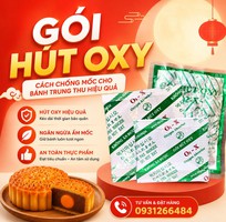 8 Các loại chống mốc phổ biến cho bánh trung thu