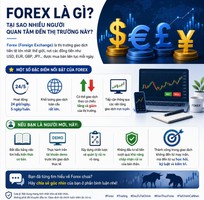 FOREX LÀ GÌ  Tại sao nhiều người quan tâm đến thị trường này