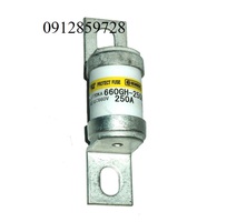 Cầu chì 250A 660V, Model: 660GH-250ULTC