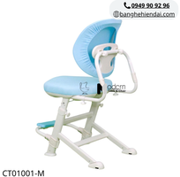 2 Ghế học bài nệm vải lưới chân cố định CT01001-M tại HCM