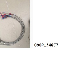 Đầu dò nhiệt của máy hàn miêng túi liên tục, đầu dò nhiệt độ của máy hàn mép túi liên tục FR900, FRM