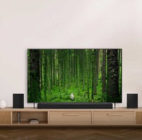2 Tivi OLED LG 55b6psa, 65b6psa, 75b6psa