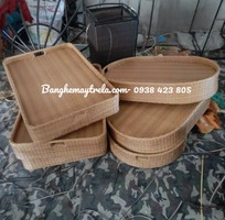1 Khay nổi đồ ăn hồ bơi