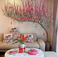 3 Gốm Sứ FULO   Địa Chỉ Cung Cấp Bình Hoa, Chậu Gốm Cỡ Lớn Cắm Đào Huyền, Mộc Lan, Đào Rừng Uy Tín Tại