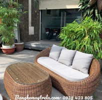 1 Sofa sò mây nhựa