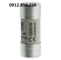 Cầu chì 100A 500V, Model C22G100