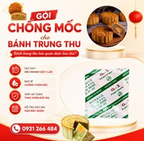 7 Bí Quyết Chống Mốc Hiệu Quả Cho Bánh Trung Thu