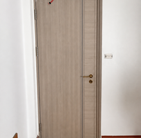  Cửa Thép DELUX Vân Gỗ