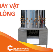 Thủ Tục Nhập Khẩu Máy Vặt Lông Gia Cầm