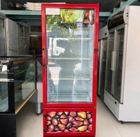 Thanh lý tủ mát Sanden Intercool Coca Cola 2 cánh trên dưới   400 lít   hàng Thái Lan.