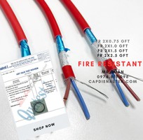 1 Altek Kabel: Cáp chống cháy, chống nhiễu 2 lõi