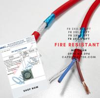 3 Altek Kabel: Cáp chống cháy, chống nhiễu 2 lõi