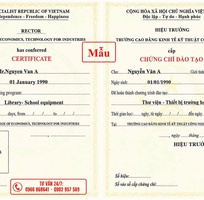 Học chứng chỉ thông tin thư viện
