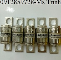 Cầu chì 25A 240V, Model 25LET