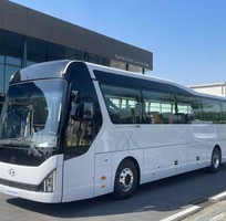 5 Cho Thuê Xe Có Lái Từ 4   45 Chỗ, Uy Tín, Giá Tốt, Chuyên Nghiệp