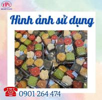 5 Hướng Dẫn Cách Bảo Quản Gói Hút Oxy Oxytoc Đúng Cách