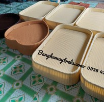 4 Khay nổi đồ ăn mây nhựa