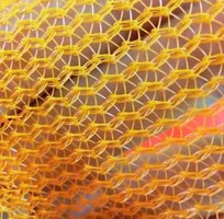 1 Túi lưới HDPE, túi lưới đựng nông sản