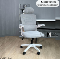 2 Ghế lưới học sinh cấp 2 tay gập có tựa đầu CM4518-M tại HCM