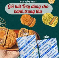 1 Vì sao nhiều cơ sở sản xuất chọn OXYTOC để chống mốc bánh trung thu