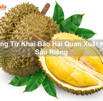 Chứng Từ Khai Báo Hải Quan Xuất Khẩu Sầu Riêng