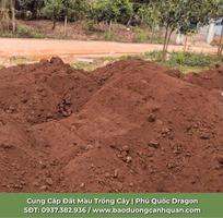 1 Cung cấp đất đỏ bzan trồng cây chất lượng cao