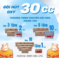 Cách bảo vệ chống mốc bánh trung thu - gói hút oxy