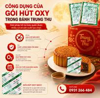 2 Giải Pháp Chống Mốc Bánh Trung Thu Giá Rẻ, Hiệu Quả Cao