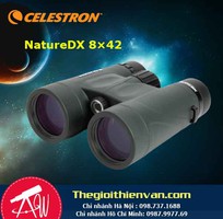 Ống nhòm Celestron Nature DX 8 42