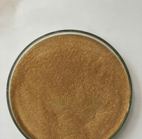 BACILLUS CLAUSII toàn diện các vấn đề về tiêu hóa